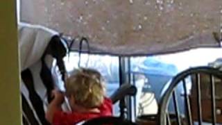 Twink, twink I a piggy video