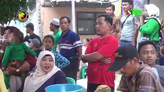 Download lagu TURU NING PAWON VOC. KADIS || SINGA DANGDUT PUTRA SURTI MUDA | LIVE BOJONGSARI mp3