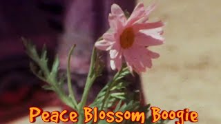 Peace Blossom Boogy - The Babe Rainbow (fan made music video)