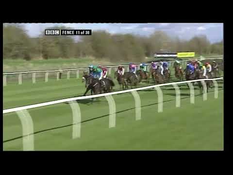2009 Grand National