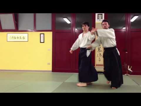 Aikido Kobayashi Hirokazu (AASCB) - KAESHI WAZA (11 Techniques Sequence)