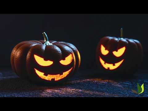 Comment sculpter une citrouille d'Halloween - Truffaut