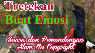 Download lagu pancingan kretekan buat emosi murai batu, suara dan baground ni copyright mp3
