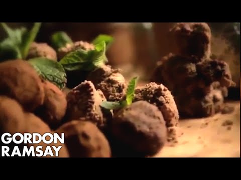 Chocolate Sponge with Fresh Ginger | Gordon Ramsay