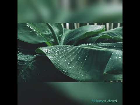 Celtic song Fill-iù Oro Hù Ò