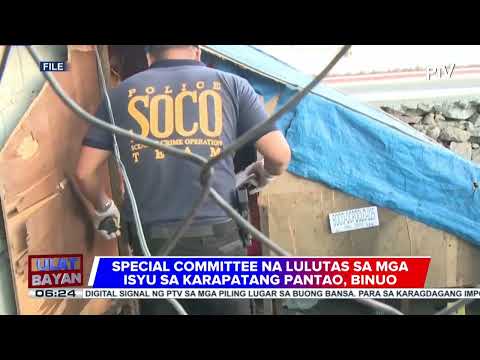 Special committee na lulutas sa mga isyu sa karapatang pantao, binuo