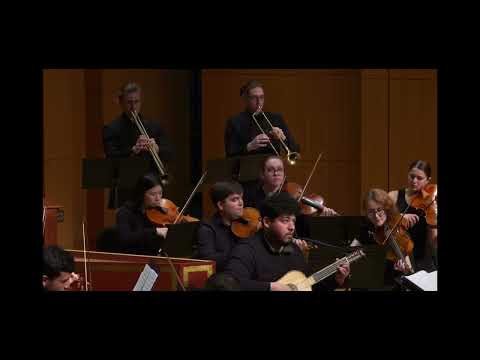 J.M. Sperger Concerto 15 - I. Allegro Moderato Josue Reyes, Viennese Bass || UNT Baroque Orchestra