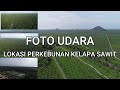 PERKEBUNAN KELAPA SAWIT SUASANA KEBUN KELAPA SAWIT TAMPAK DARI LANGIT FOTO UDARA DRONE