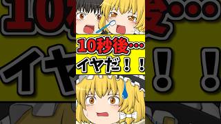 １０秒後・・・ハミガキがイヤで泣いてしまう猫！？ #shorts #ゆっくり茶番劇 #博麗霊夢