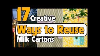 17  Creative Ways to Reuse Milk Cartons