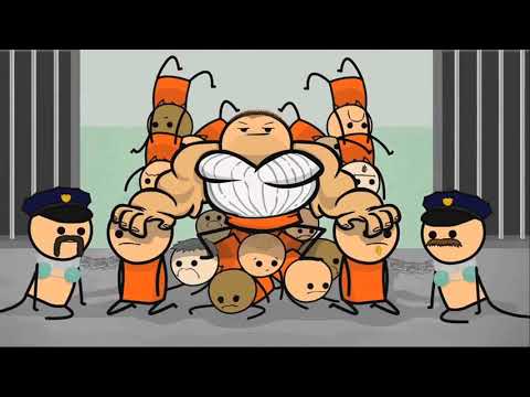 Ted Bear Rap (1 hour Version)