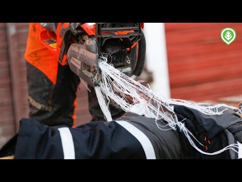 Pysäyttävätkö viiltosuojahousut moottorisahan terän? | Metsälehti