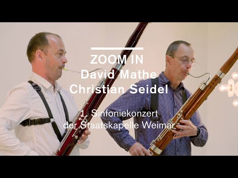 &copy;  Damil Kalogjera