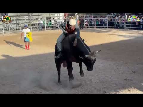 EL RELINCHO EN RODEO FELICIANO ARAUZ ST LUCIA 2025
