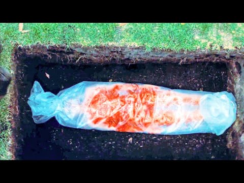 Elizabeth Harvest (2018) Film Explained in Hindi/Urdu | Elizabeth Harvest Story Summarized हिन्दी