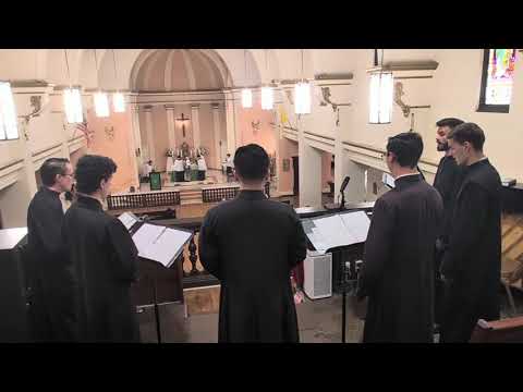 Tota Pulchra Es Maria - Ancient Corsican Motet #sacredmusic #choir #catholic