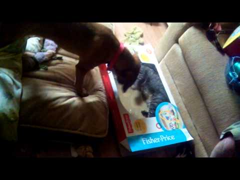 So thats why these have airholes lol