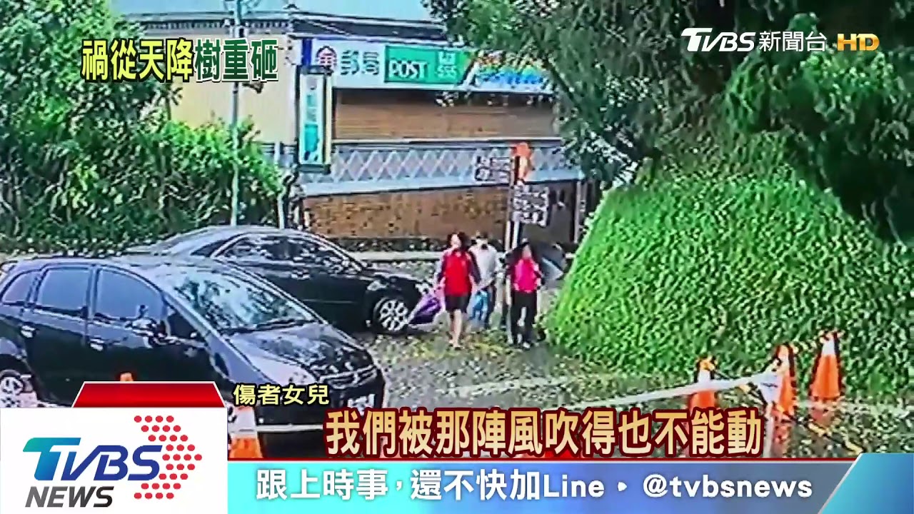 巡災變受災 日月潭2住戶遭路樹砸傷