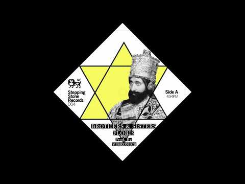 Floris - Brothers & Sisters ( vocal & dub sample) - Prod. S. Vibronics