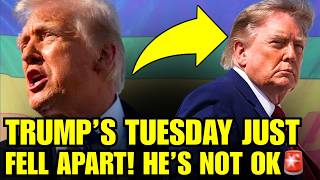 🚨The Gay Community Just DESTROYED Trump's Day With SURPRISE BOMB
