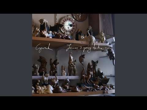 Hikikomori video