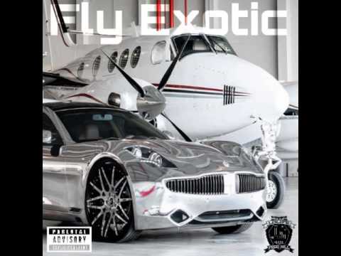 FEDD HILL - "Fly Exotic" (2005)