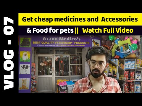 Cheapest wholesale Pet Veterinary Shop 👍 Arzoo Medico's 😃 Pet Food Supplement in jalandhar