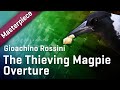 Video 3: Synchron Masterpieces: Rossinis Thieving Magpie Overture - Screencast by Jay Bacal