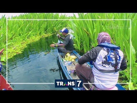 download lagu mp3 mp4 Vidio Mancing Mania, download lagu Vidio Mancing Mania gratis, unduh video klip Vidio Mancing Mania