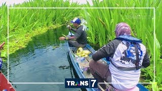 Download lagu MANCING MANIA - KERANDANG AIR HITAM (24/9/16) 3-2 mp3 Download lagu MANCING MANIA - KERANDANG AIR HITAM (24/9/16) 3-2 mp3