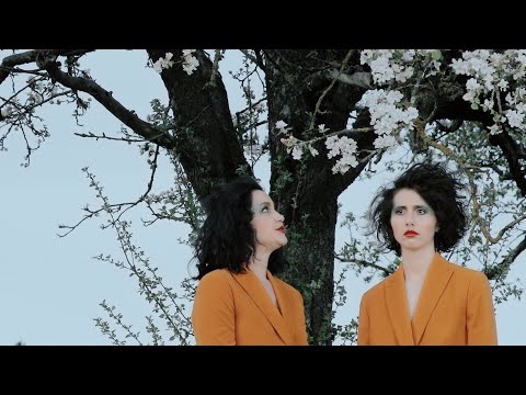 Eclecta - Magnolia [Teaser]