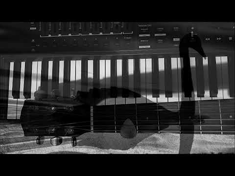 Balašević - Crni labud ( cover )