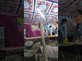 Piya Ke Kono Jor Naikhe