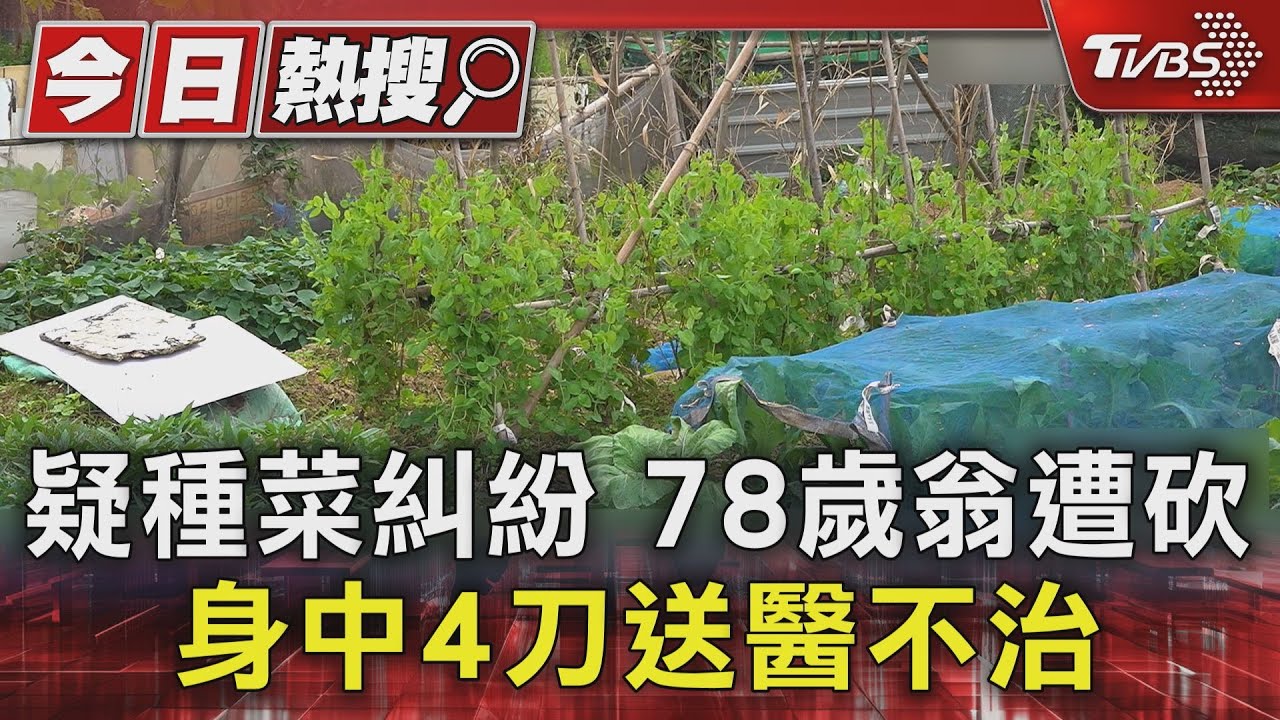 快訊/林口菜園78歲翁遭砍 「身中4刀」搶救無效死亡
