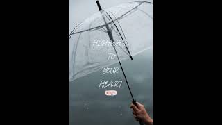 Highway To Your Heart-