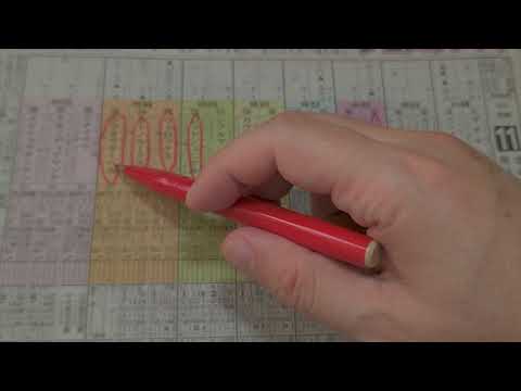 第80回菊花賞(G1)11R 芝3000 京都 2019.10.20 予想