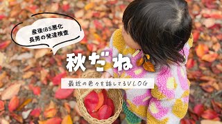 《VLOG》過敏性腸症候群が大腸カメラを受けた話など