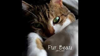 Campfire // Fur Beau: Music for Cat Anxiety &amp; Stress // Johnny Salib