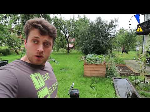 Kunde beanstandet Weidezaungerät - Möglicherweise Akku kaputt?