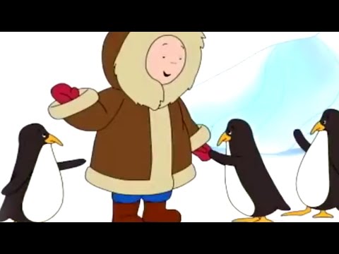 Caillou and the Penguins | Caillou Cartoon