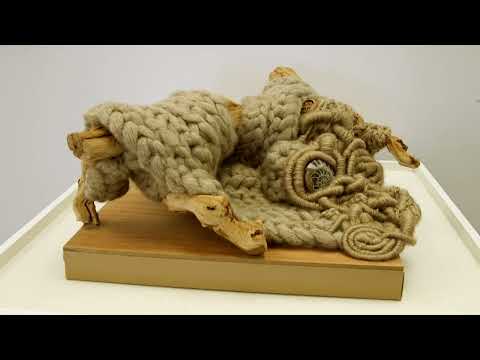 Seasonal Rhythms at Webster Arts