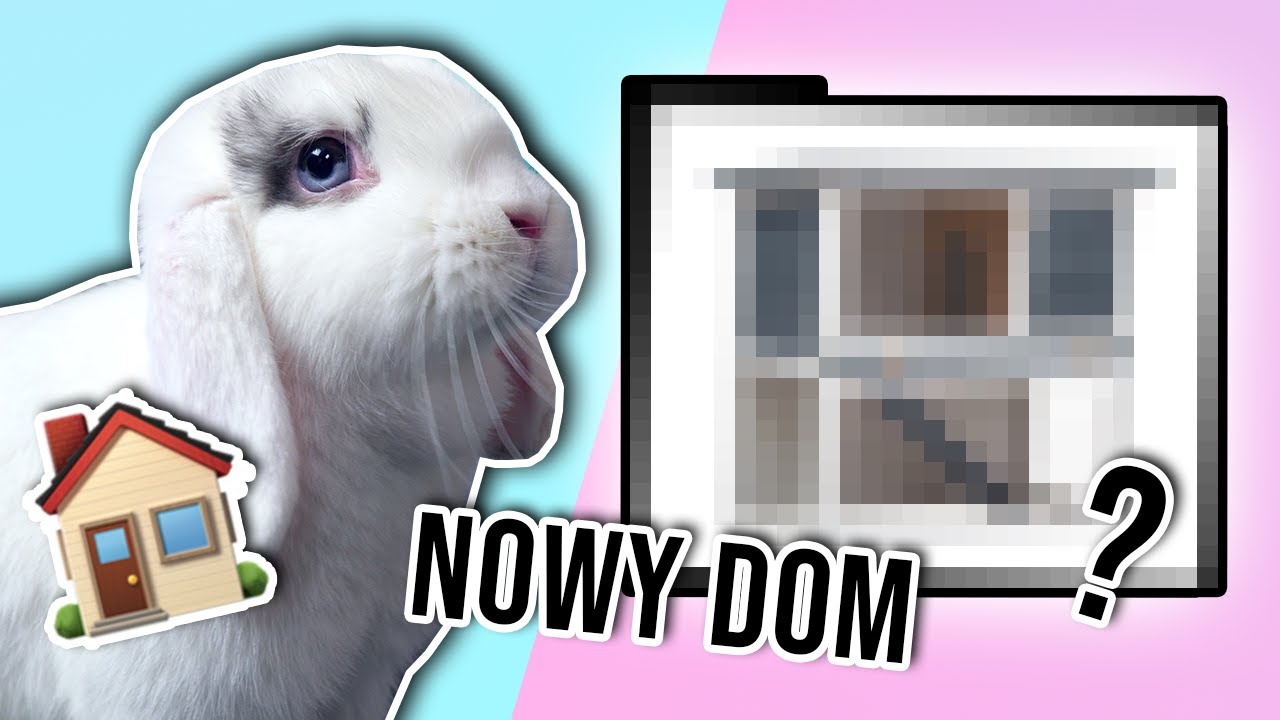 NOWA KLATKA KREMÓWKI