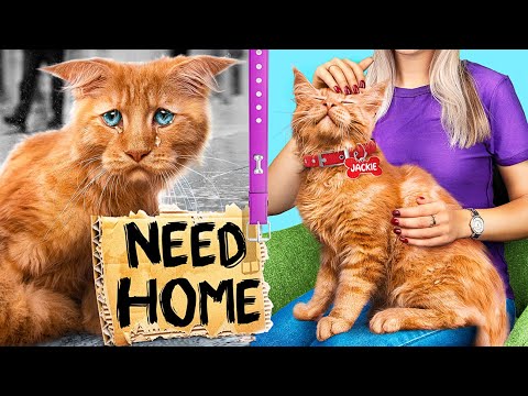 We Make a Shelter for Pets at Home / Challenge