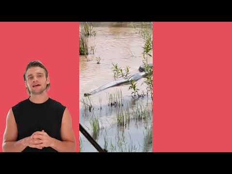 Sucuri Gigante no Mato Grosso do Sul!