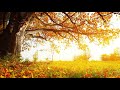 Noonday Sun (Deep Forest).