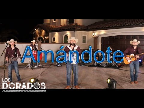 Los Dorados - Amándote (En Vivo)