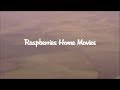 The Raspberries - Home Movies. Part 2