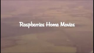 The Raspberries - Home Movies. Part 2