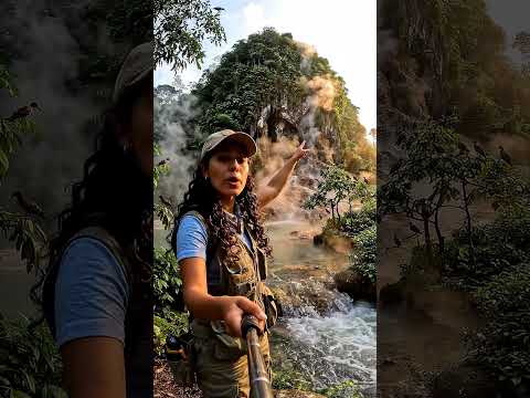 La esponja de piedra que ayuda a alimentar aguas termales