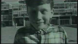 Asian Dub Foundation  Rebel Warrior